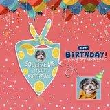 Custom Face Lemon Birthday Pet Bandana